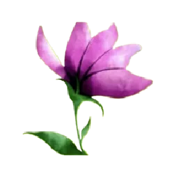 Eat Healthy-14-13 Eat Healthy 14 13 png